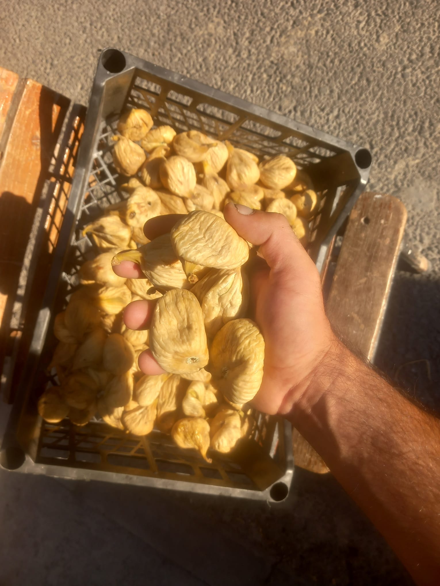 Jumbo kuru incir ürün görseli